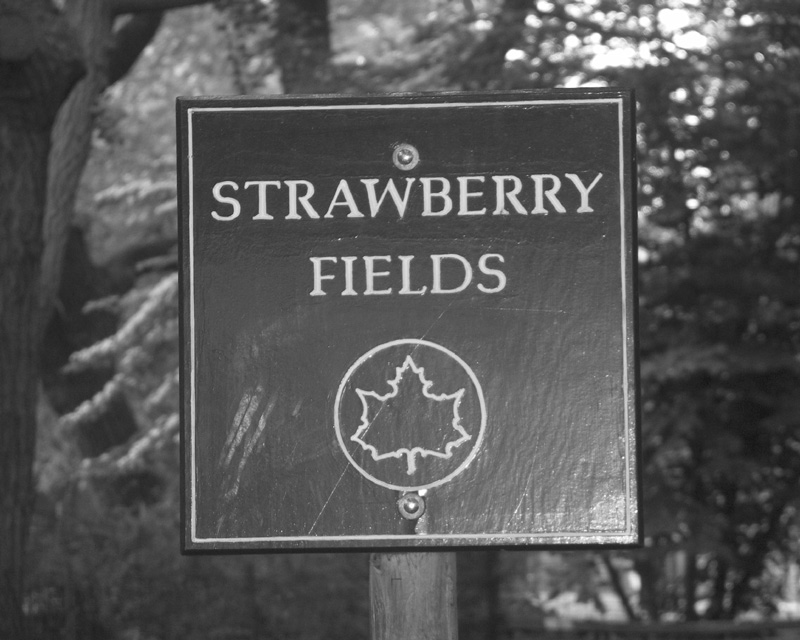 Strawberry Fields: l'oasi naturalistica di Central Park